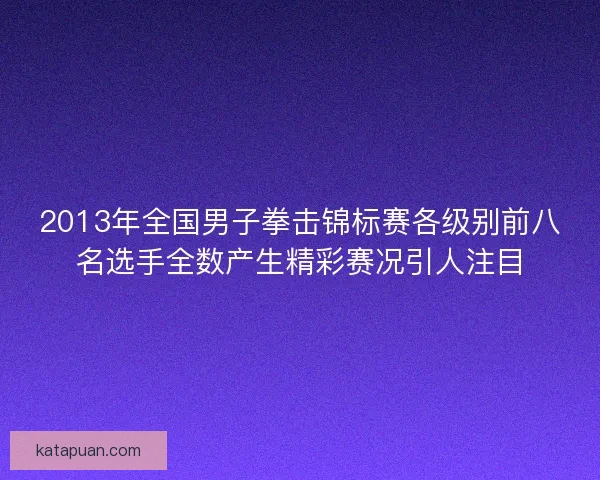 2013年全国男子拳击锦标赛各级别前八名选手全数产生精彩赛况引人注目